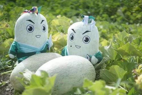 网红兔兔吃瓜,揭秘娱乐圈幕后真相