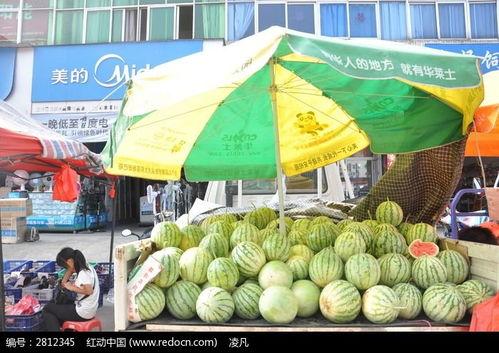 摆摊网红吃瓜视频下载安装,轻松追剧，畅享美食时光