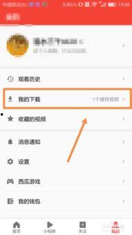 吃瓜网app怎样下载视频