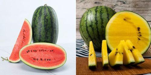 蔡金发的瓜吃瓜网,蔡金发带你领略网络八卦的魅力