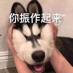 瓜哥吃瓜网音乐在线听,在线畅享海量热门歌曲