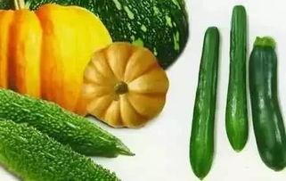 网红吃瓜持续更新,实时更新，揭秘娱乐圈最新热点