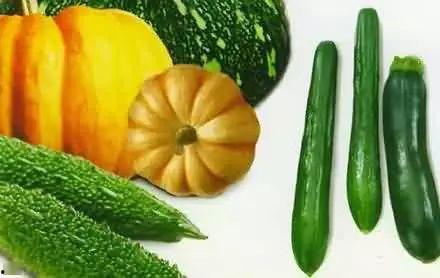 青田吃瓜网,揭秘当地新鲜趣事，带你领略青田风土人情