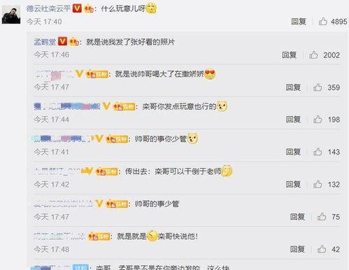 吃瓜网评论区,热议不断，网友观点大碰撞