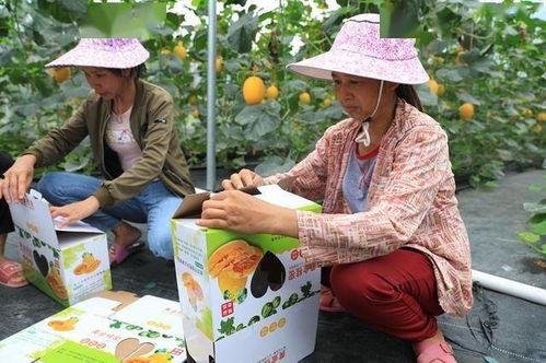 爬山网红吃瓜,揭秘娱乐圈幕后真相