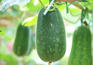 吃瓜网今日吃瓜必吃,揭秘娱乐圈最新热点事件