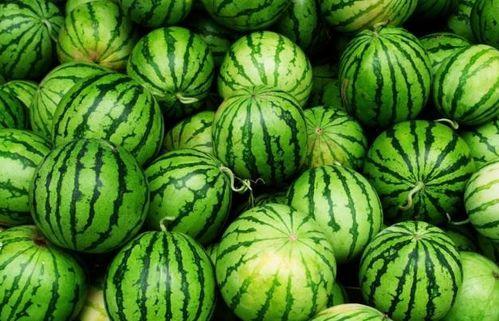 吃瓜网今日吃瓜必吃,揭秘娱乐圈最新热点事件