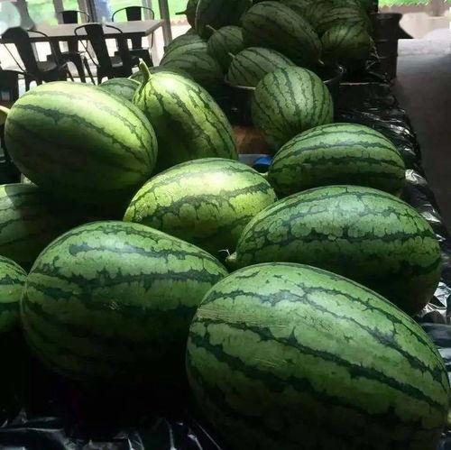 吃瓜网a,带你走进网络八卦的奇幻世界