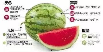 平邑网红吃瓜群微信,揭秘网络红人的幕后故事