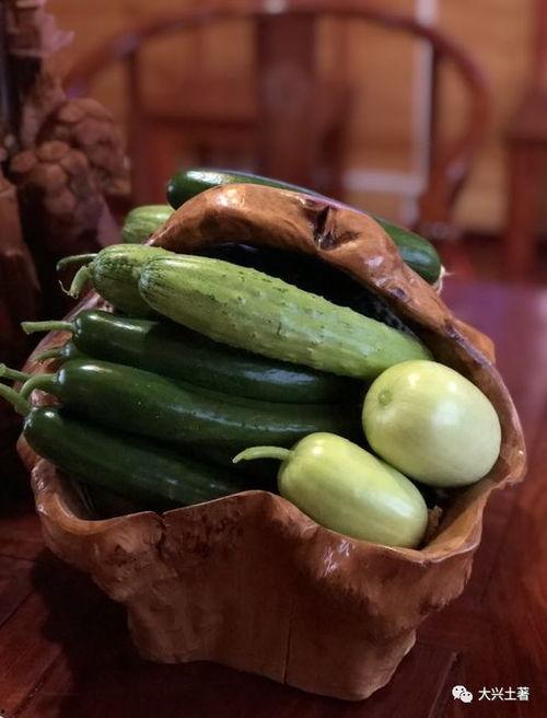 网红爆料吃瓜法院,法院审理背后真相揭秘！”