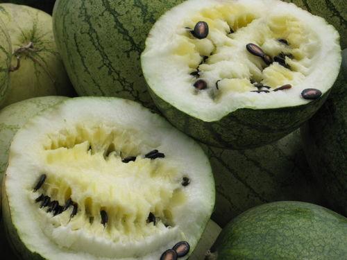 昆明网传的学校吃瓜,揭秘校园吃瓜背后的真相