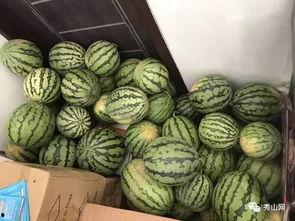 网红的吃瓜群怎么进去的,如何轻松加入神秘社交圈