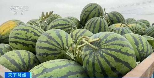 庆云吃瓜网,揭秘娱乐圈幕后故事，带你领略明星真实生活