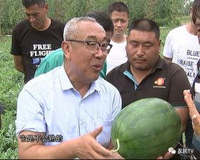 吃瓜网加州博士,揭秘吃瓜网背后的科技与智慧