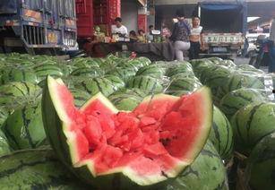 911红领巾吃瓜网官网,带你领略网络红人背后的故事