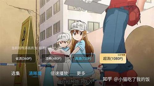 侍寝 吃瓜人百度网盘