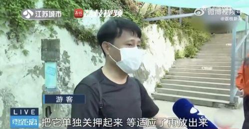 吃瓜网红姐弟,揭秘网络红人的甜蜜与争议