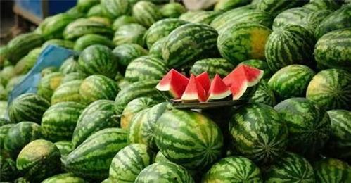 四个字网红吃瓜,揭秘网络红人的幕后故事