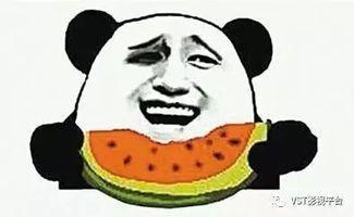 吃瓜群众快变成网红了,揭秘网络红人的崛起之路