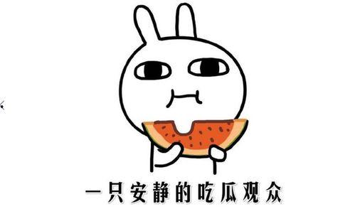 吃瓜网热门事件在线观看,实时在线观看，揭秘娱乐圈风云变幻