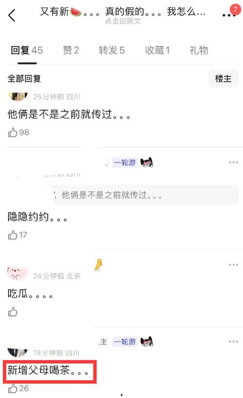 51爆料网吃瓜小羊没烦恼网站,吃瓜小羊没烦恼，揭秘娱乐圈幕后真相