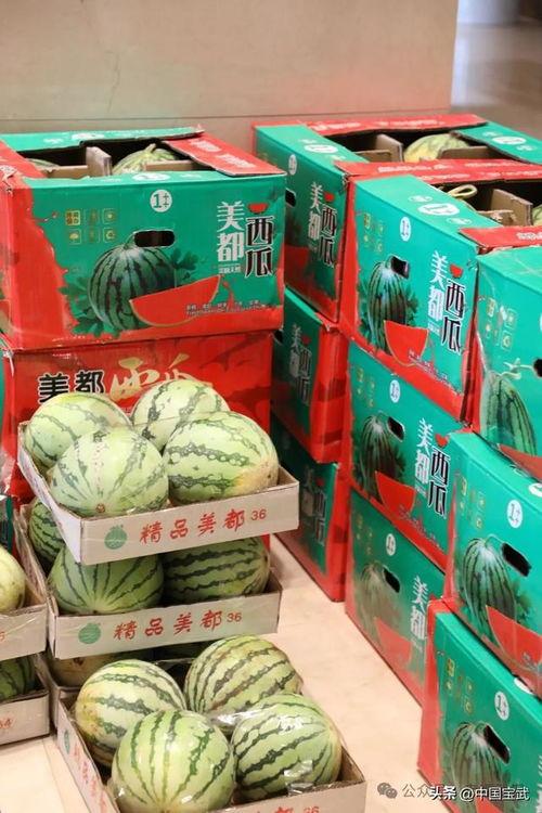 固始网红吃瓜事件,揭秘网络舆论背后的真相与争议