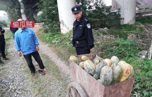 吃瓜事件网红林业