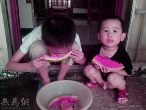 吃瓜闲聊论坛官网,揭秘网络论坛的趣味与热议