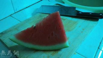 吃瓜闲聊论坛官网,揭秘网络论坛的趣味与热议