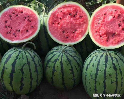 网红吃瓜合集不定时更新,新鲜热辣，每日更新，揭秘娱乐圈幕后故事