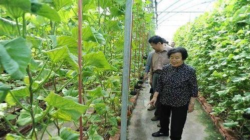 诸暨吃瓜网红事件是真的吗