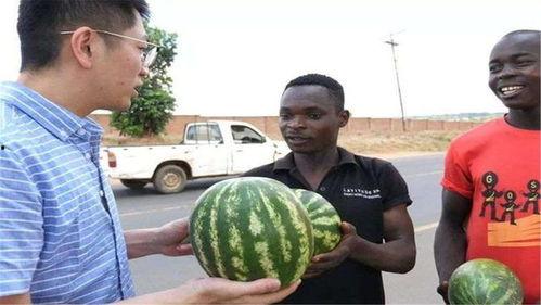 黑爆料吃瓜网,娱乐圈幕后真相大曝光！