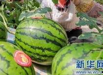 吃瓜传播也是种变相网暴,网络时代的变相网暴现象解析