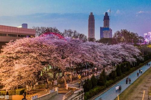抖音网红吃瓜入口在哪里,抖音网红们的美食探秘之旅