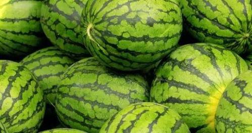 内蒙网红吃瓜事件真相,真相与反思