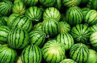 武都网红 吃瓜群微信,揭秘“吃瓜群”微信背后的故事