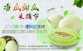 网红三人吃瓜,幕后故事与趣味瞬间