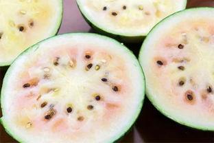 商洛网红吃瓜事件真相揭秘