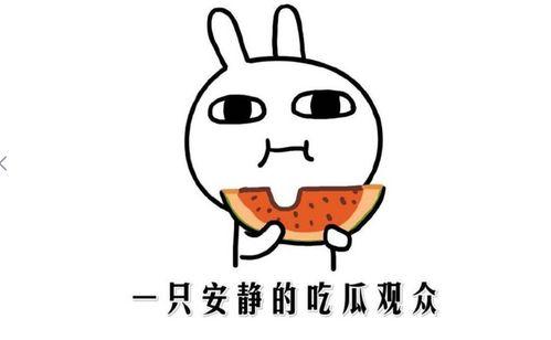 抖音网红最新吃瓜,揭秘娱乐圈幕后真相！